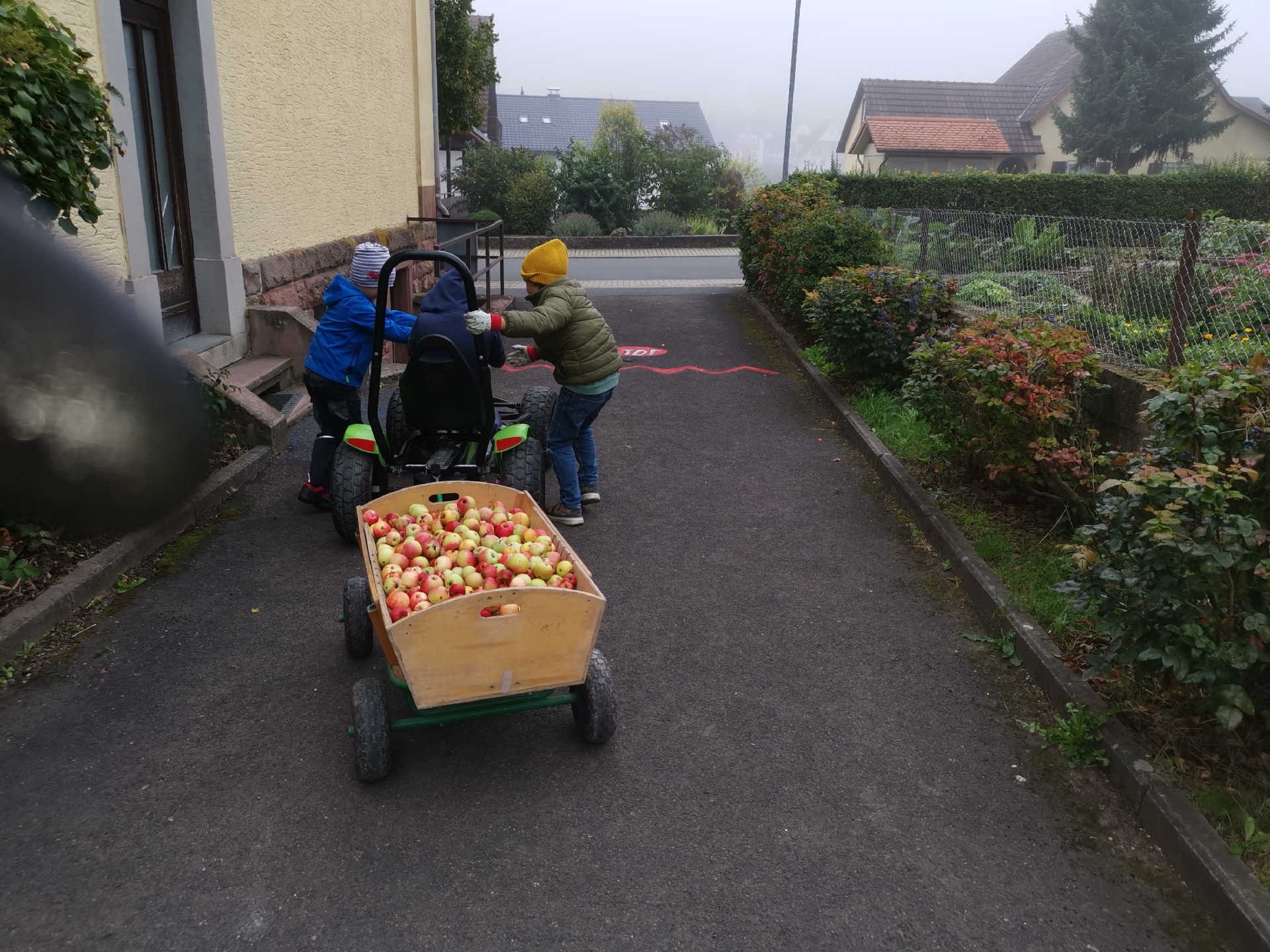 In Oberlauda startete das Schuljahr wie üblich gleich mit einem Highlight: der Apfelernte