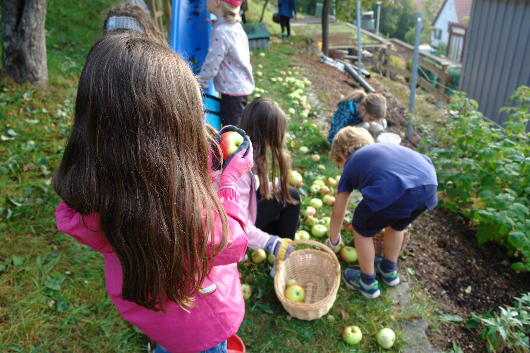 Wie der Saft in die Flaschen kommt, wissen die Kinder aus Oberlauda jetzt ganz genau.