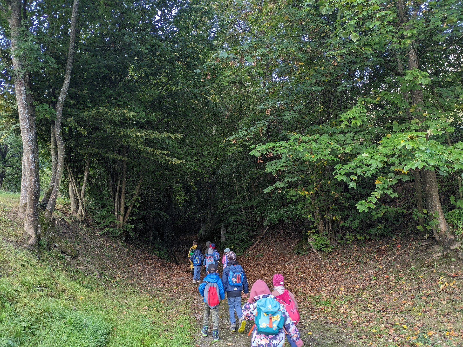 Beim Waldtag blieb die Schultür geschlossen, denn alle waren draußen unterwegs.